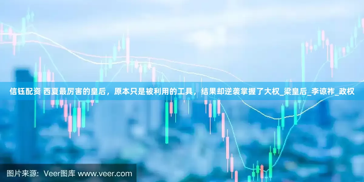 信钰配资 西夏最厉害的皇后，原本只是被利用的工具，结果却逆袭掌握了大权_梁皇后_李谅祚_政权