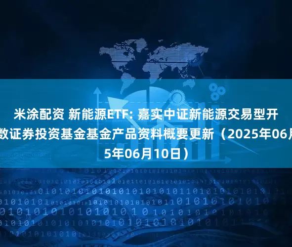 米涂配资 新能源ETF: 嘉实中证新能源交易型开放式指数证券投资基金基金产品资料概要更新（2025年06月10日）