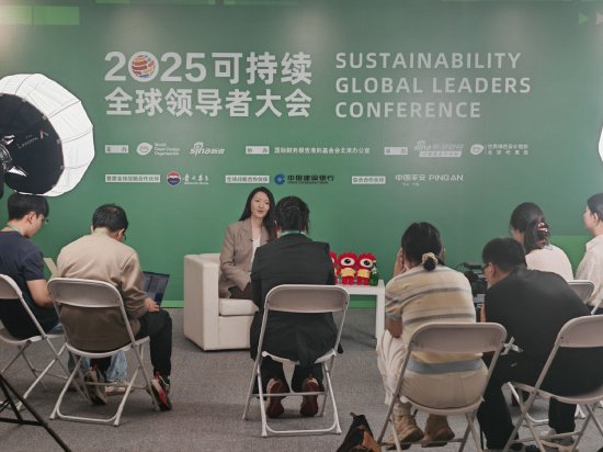 博星配资 对话英利集团董事长苗青：光伏行业产能过剩，如何应对？