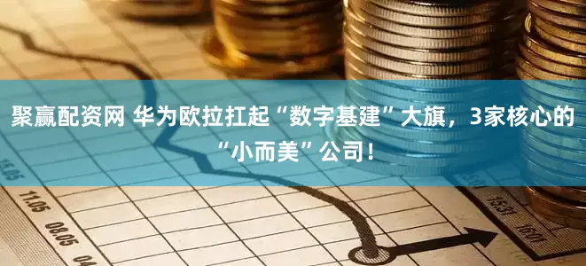 聚赢配资网 华为欧拉扛起“数字基建”大旗，3家核心的“小而美”公司！