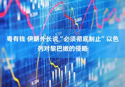 粤有钱 伊朗外长说“必须彻底制止”以色列对黎巴嫩的侵略